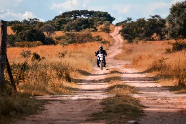 Paysage africain associé à Zimbabwe
